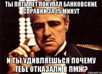 ты пять лет покупал банковские справки за 15 минут и ты удивляешься почему тебе отказали в ПМЖ?