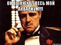 Он вынюхал весь мой аквариум!!! 