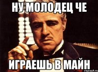 ну молодец че играешь в майн