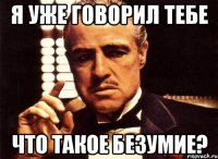 Я УЖЕ ГОВОРИЛ ТЕБЕ ЧТО ТАКОЕ БЕЗУМИЕ?