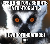 Севодня гочу выпить за то,чтобы ты не успогаивалась! !!!!