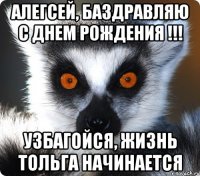 АЛЕГСЕЙ, БАЗДРАВЛЯЮ С ДНЕМ РОЖДЕНИЯ !!! УЗБАГОЙСЯ, ЖИЗНЬ ТОЛЬГА НАЧИНАЕТСЯ