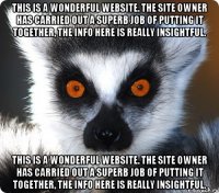 This is a wonderful website. The site owner has carried out a superb job of putting it together, the info here is really insightful. This is a wonderful website. The site owner has carried out a superb job of putting it together, the info here is really insightful.