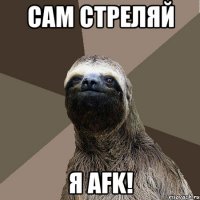 сам стреляй я AFK!