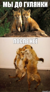 Мы до гулянки После неё