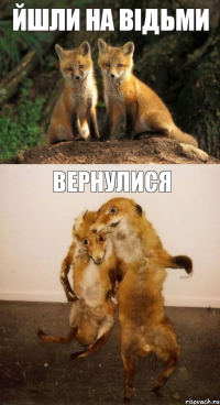 йшли на відьми вернулися