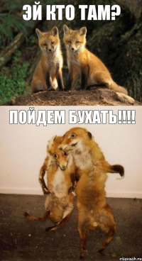 Эй кто там? Пойдем бухать!!!!