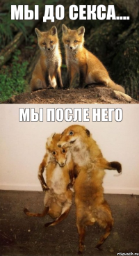 мы до секса.... мы после него