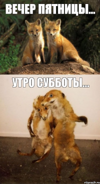 вечер пятницы... утро субботы...