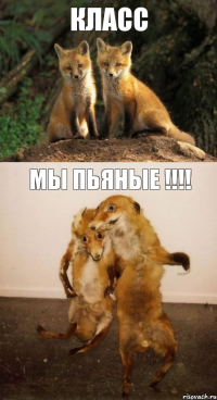 класс мы пьяные !!!!