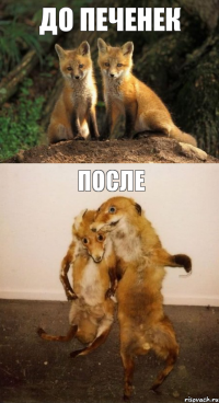 До печенек После