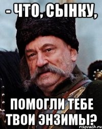 - Что, сынку, помогли тебе твои энзимы?