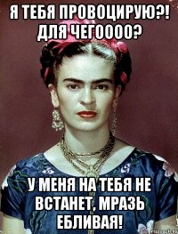 Я тебя провоцирую?! Для чегоооо? У меня на тебя не встанет, мразь ебливая!