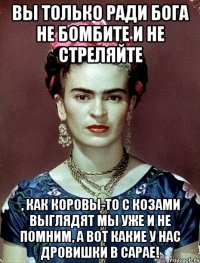 Вы только ради Бога не бомбите и не стреляйте , как коровы-то с козами выглядят мы уже и не помним, а вот какие у нас дровишки в сарае!