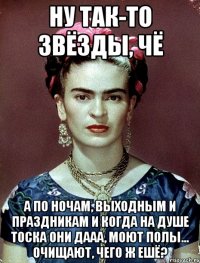 Ну так-то звёзды, чё А по ночам, выходным и праздникам и когда на душе тоска они дааа, моют полы... очищают, чего ж ешё?