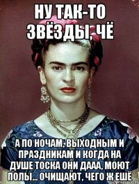 Ну так-то звёзды, чё А по ночам, выходным и праздникам и когда на душе тоска они дааа, моют полы... очищают, чего ж ешё