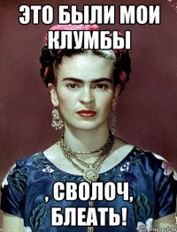 Это были мои клумбы , сволоч, блеать!