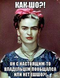 Как шо?! Он с настоящим-то владельцем пообщалса или нет ешшо?!