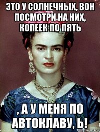 Это у солнечных, вон посмотри на них, копеек по пять , а у меня по автоклаву, Ь!