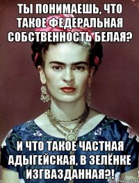ты понимаешь, что такое федеральная собственность белая? и что такое частная адыгейская, в зелёнке изгвазданная?!