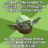 ...помни, страх, ненависть, агресссия - все это ведет на темную сторону силы. И если ты сделаешь первый шаг по темному пути, обратной дороги уже не будет...