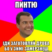 Пинтю Іди Заготовляй Дрова бо у зимі замерзнеш