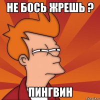 не бось жрешь ? пингвин