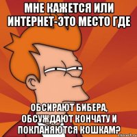 Мне кажется или интернет-это место где обсирают Бибера, обсуждают Кончату и покланяются кошкам?