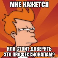 Мне кажется или стоит доверить это профессионалам?