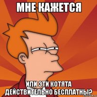 МНЕ КАЖЕТСЯ ИЛИ ЭТИ КОТЯТА ДЕЙСТВИТЕЛЬНО БЕСПЛАТНЫ?