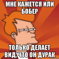 Мне кажется или бобер только делает вид, что он дурак
