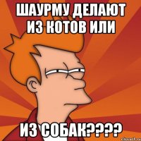 шаурму делают из котов или из собак????