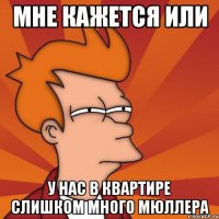 Мне кажется или у нас в квартире слишком много Мюллера