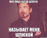 Мое лицо когда шлюха называет меня шлюхой