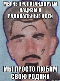 мы не пропагандируем нацизм и радикальные идеи мы просто любим свою родину