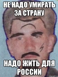 НЕ НАДО УМИРАТЬ ЗА СТРАНУ НАДО ЖИТЬ ДЛЯ РОССИИ