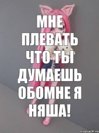 Мне плевать что ты думаешь обомне я няша!