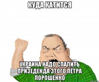 Куда катится Украина надо спалить призеденда этого пётра порошенко