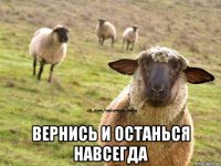  вернись и останься навсегда