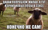 давай попробуем, милая, я тут изучил новые позы в сексе конечно же сам!