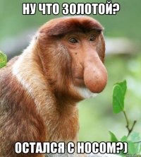 Ну что золотой? Остался с носом?)