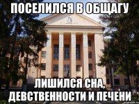 Поселился в общагу Лишился сна, девственности и печени