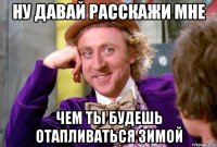 ну давай расскажи мне чем ты будешь отапливаться зимой
