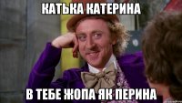 катька катерина в тебе жопа як перина