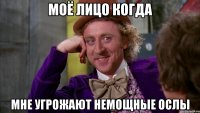 моё лицо когда мне угрожают немощные ослы