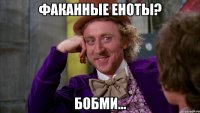 Факанные еноты? Бобми...