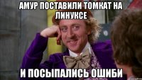 амур поставили томкат на линуксе и посыпались ошиби