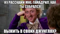 Ну расскажи мне, гамадрил, как ты собрался выжить в своих джунглях?