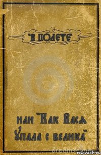 "В ПОЛЕТЕ" или "Как Вася упала с велика"