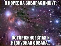 В Корее на заборах пишут: Осторожно! Злая и невкусная собака...